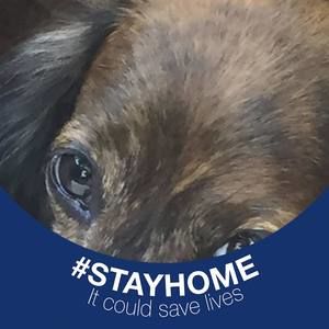 Meet your Posher, Bobbi